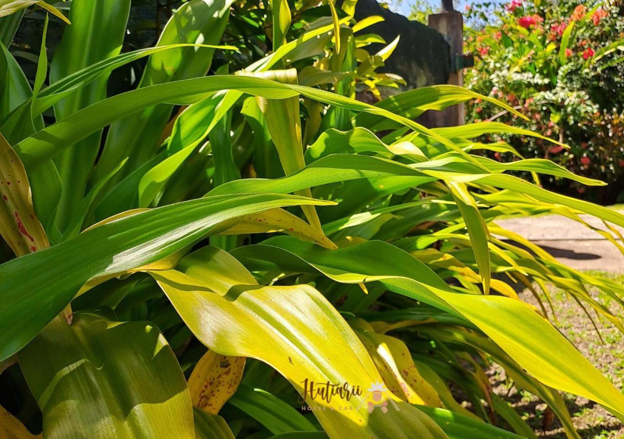 Hutiarii House & Car & Excursions Raiatea Villa Tevaitoa Dış mekan fotoğraf